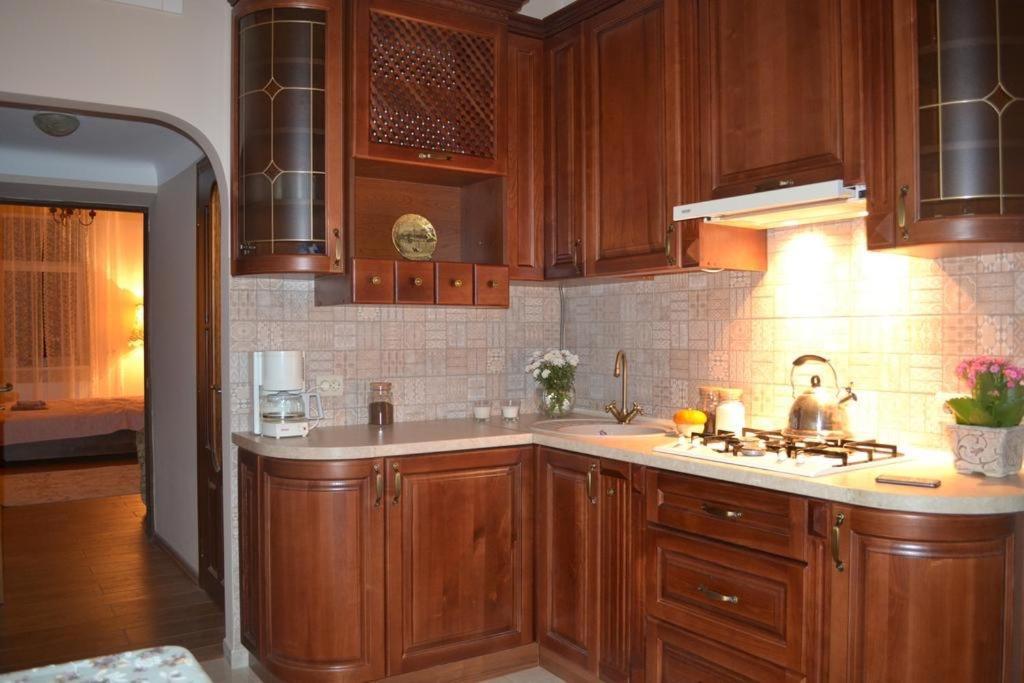 Cozy Apartment 利沃夫 外观 照片